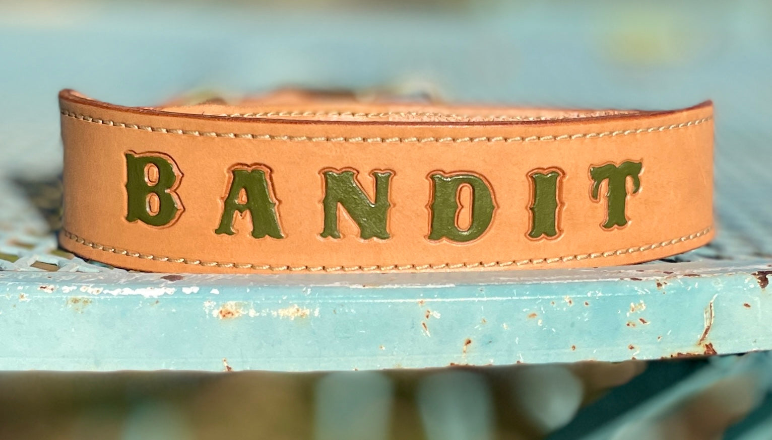 Signature Tapered Dog Collar