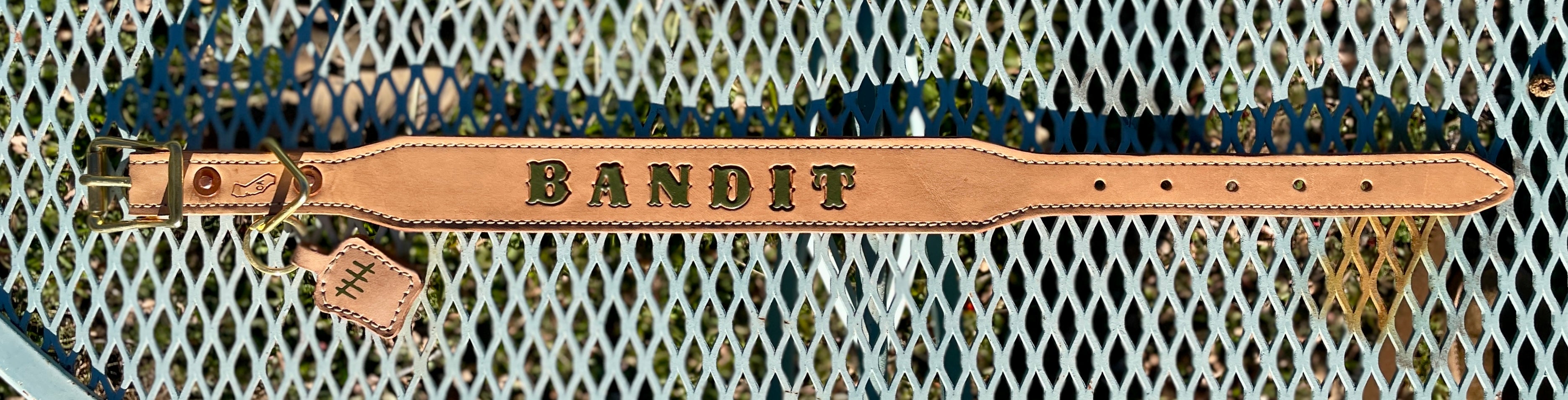 Signature Tapered Dog Collar