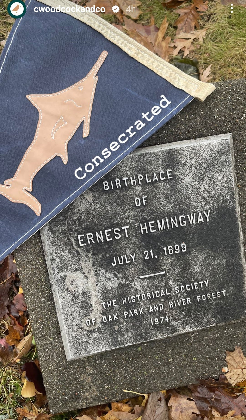 Blue Marlin Burgee (C. Woodcock & Co. X Sluice Works)